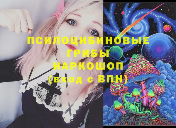 а пвп мука Надым
